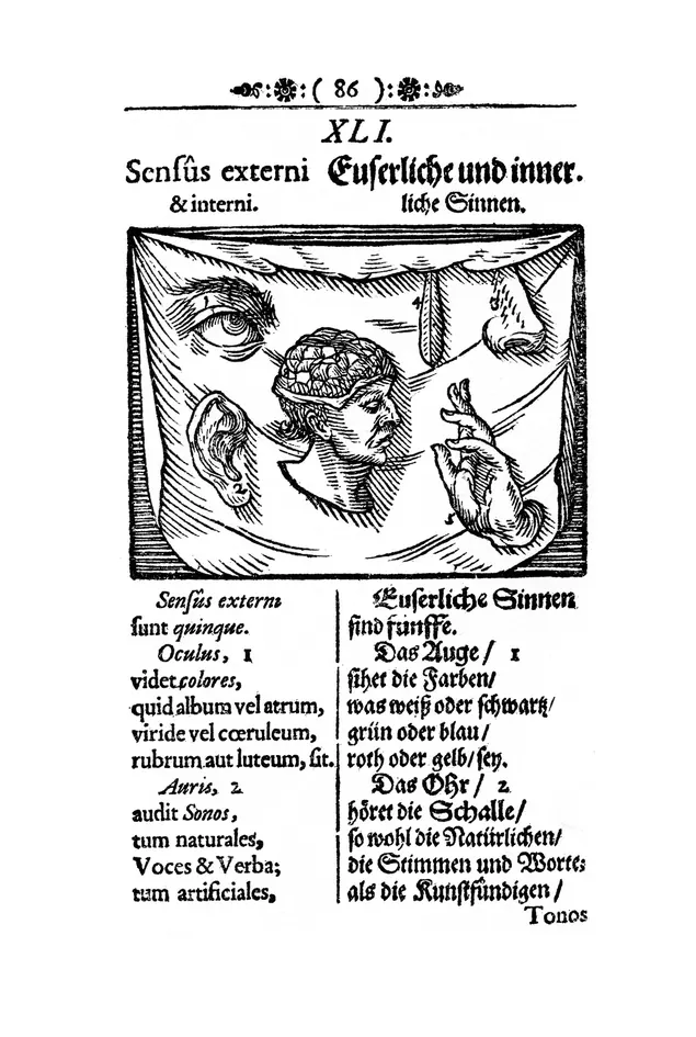 Plate 2: XLI. The outward and inward senses, preview