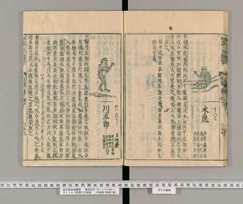 Wakan Sansai Zue: Kawatarō (川太郎) and suiko (水虎), preview image